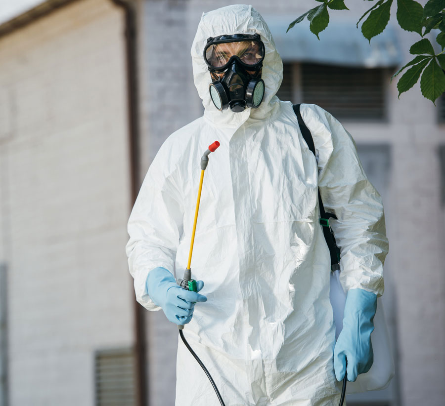 Pest Control St UT Spiders, Roaches, Scorpions, & More!